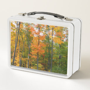 Lunch Box Automne Maple Trees Automne Photographie de la nat
