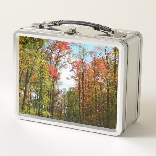 Lunch Box Automnes Arbres et Ciel bleu Automne Photographie  (Devant)