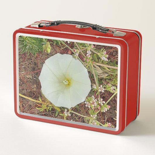 Lunch Box avec accueil et image (Dos)