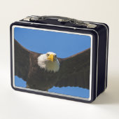 Lunch Box Bald Eagle Flyby Up Close (Dos)