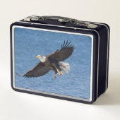 Lunch Box Bald eagle in flight (Dos)