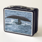 Lunch Box Baleine de Sperm (Dos)