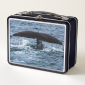 Lunch Box Baleine de Sperm (Devant)