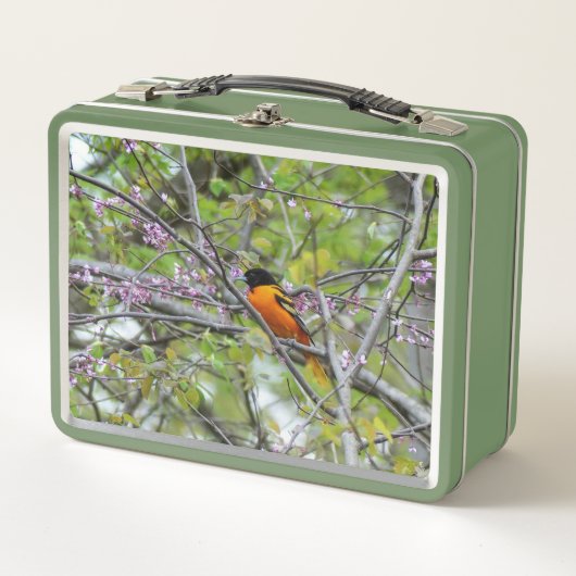 Lunch Box Baltimore Oriole (Devant)