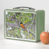 Lunch Box Baltimore Oriole (En situation)