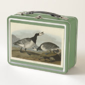 Lunch Box Barnacle Goose - de Audubon's Birds of America (Devant)