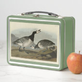 Lunch Box Barnacle Goose - de Audubon's Birds of America (En situation)