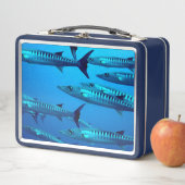 Lunch Box Barracudas (En situation)