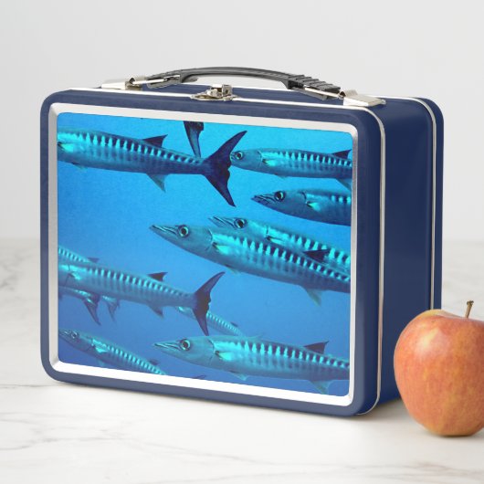 Lunch Box Barracudas (En situation)