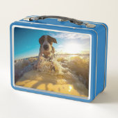 Lunch Box Beagle surfing (Dos)