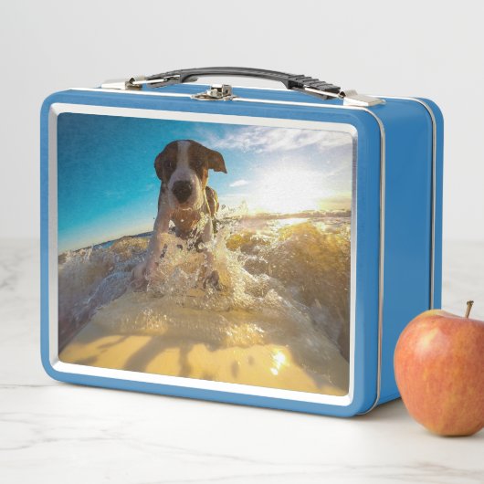 Lunch Box Beagle surfing (En situation)
