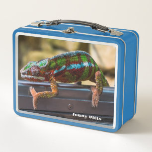 Lunch Box Beau Chameleon