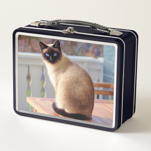Lunch Box Beau chat siamois avec yeux bleus (Devant)