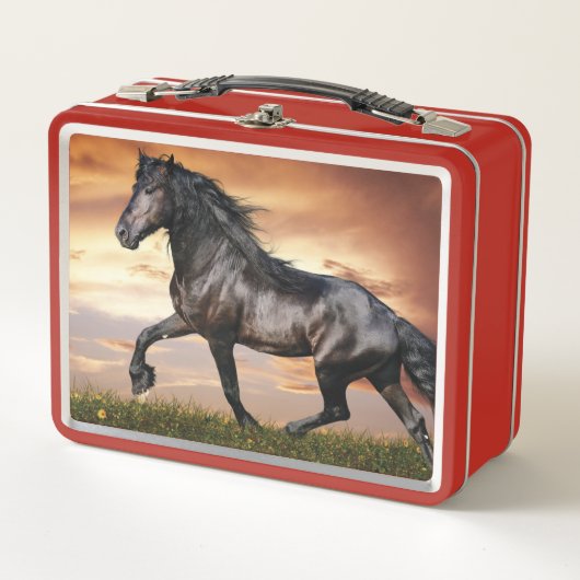Lunch Box Beau Cheval Noir (Devant)