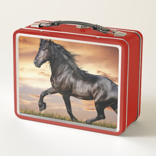 Lunch Box Beau Cheval Noir (Dos)