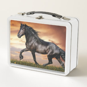 Lunch Box Beau cheval noir