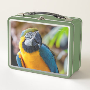 Lunch Box Beau oiseau de perroquet bleu et or Macaw