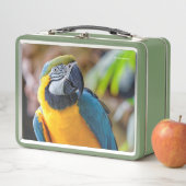 Lunch Box Beau oiseau de perroquet bleu et or Macaw (En situation)