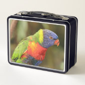 Lunch Box Beau perroquet coloré (Dos)