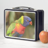 Lunch Box Beau perroquet coloré (En situation)