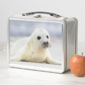 Lunch Box Bébé phoque des images | de Getty (En situation)
