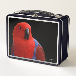 Lunch Box Belle "Dame en rouge" Eclectus Parrot