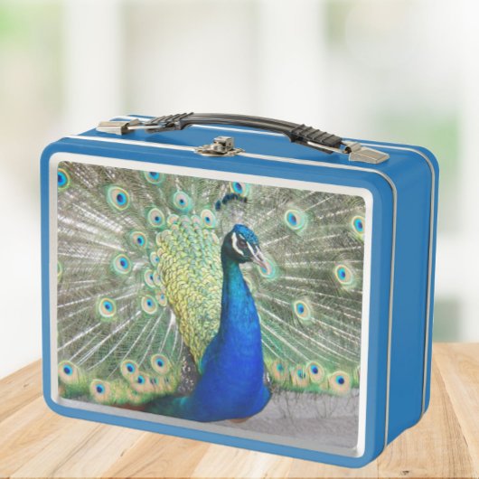 Lunch Box Belle photo Peacock Bleu