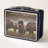 Lunch Box Belle Trousse De Buffalo (Devant)
