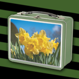 Lunch Box Belles Daffodiles Jaunes