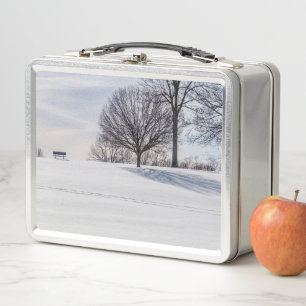 Lunch Box Bench on Snow Covered Hill