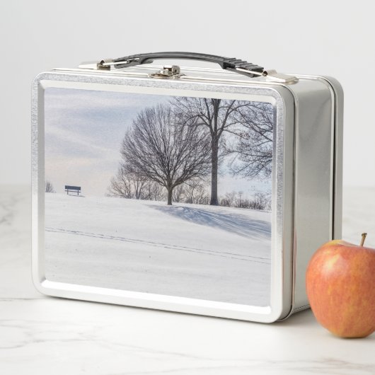 Lunch Box Bench on Snow Covered Hill (En situation)