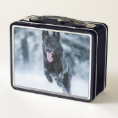 Lunch Box Berger allemand noir dans la couverture de duvet d (Dos)