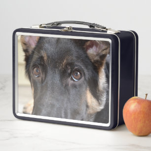 Lunch Box berger allemand par Shirley Taylor