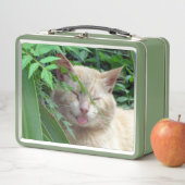 Lunch Box Bête le chat idiot errant (En situation)