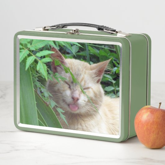 Lunch Box Bête le chat idiot errant (En situation)