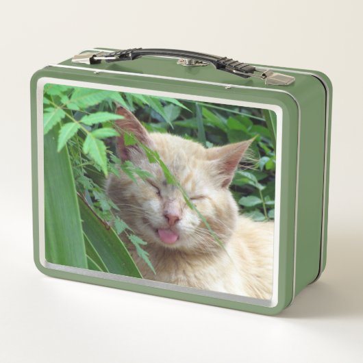Lunch Box Bête le chat idiot errant (Dos)