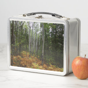 Lunch Box Birch-Arbres blancs et fougères d'automne