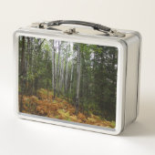 Lunch Box Birch Trees blancs et fougères d'automne à Rocky M (Devant)