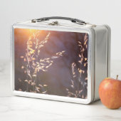 Lunch Box blé le matin (En situation)