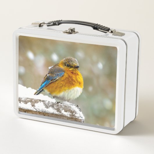 Lunch Box Bleuet de l'Est en neige - Photo originale (Devant)