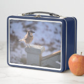 Lunch Box Blue Jay (En situation)