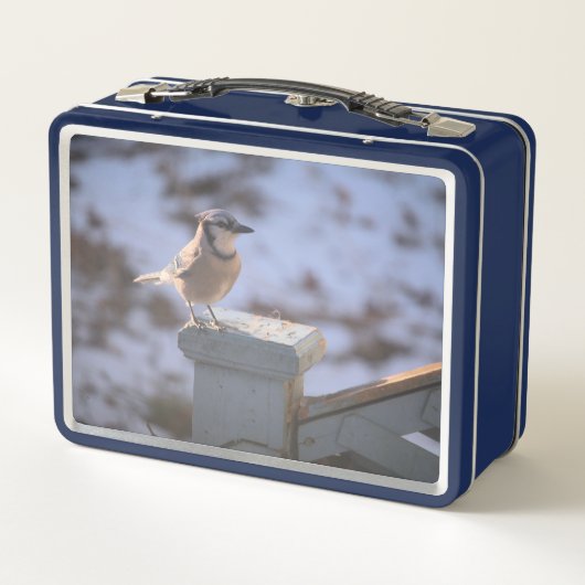 Lunch Box Blue Jay (Dos)