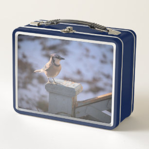 Lunch Box Blue Jay