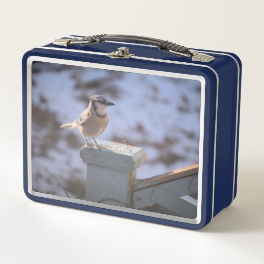 Lunch Box Blue Jay (Devant)