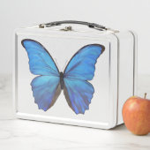 Lunch Box - Blue Morpho Butterfly (In situ)