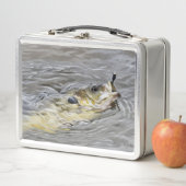 Lunch Box Bluegill Prend L'Attaque (En situation)