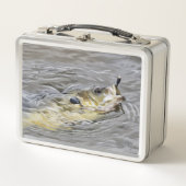 Lunch Box Bluegill Prend L'Attaque (Devant)
