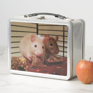 Lunch Box Boîte à déjeuner Baby Rats