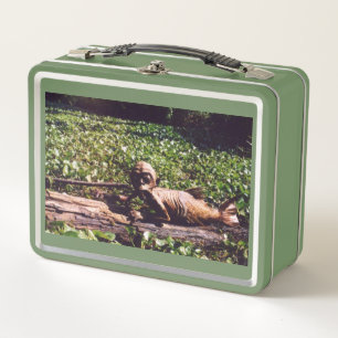Lunch Box Boîte à lunch de la sirène fidjienne par Juan Caba