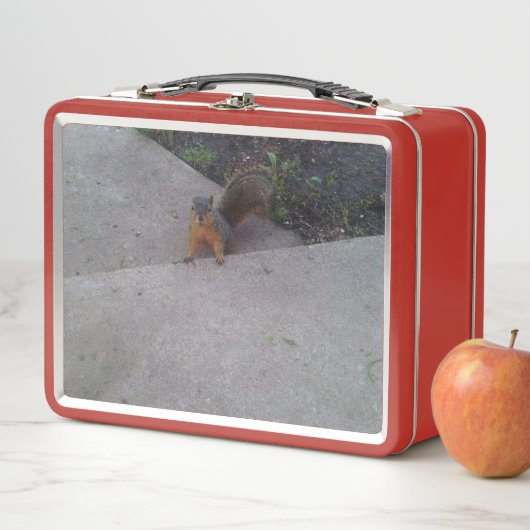 Lunch Box Boîte à lunch d'écureuil (En situation)